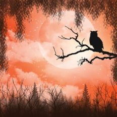 Halloween Night Sky