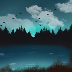 Peaceful Lake View