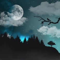 Night Sky