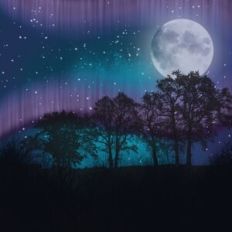 Magical Aurora Sky