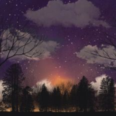 Magical Starlit Forest Sky