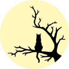 black cat in the tree