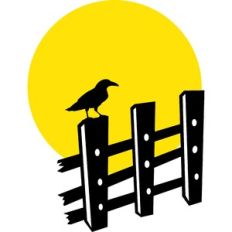 crow on the fence
