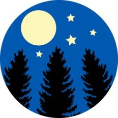 full moon and pine trees circle scenery