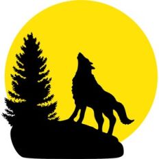wolf and pine tree full moon