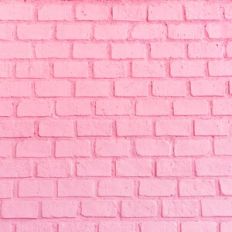 Pink Brick Wall