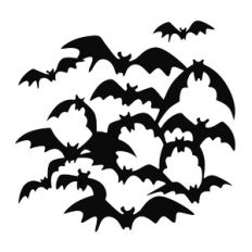 Bats