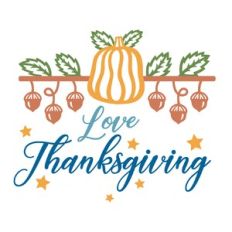 Cool Love Thanksgiving fun design