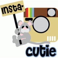 inta-cutie