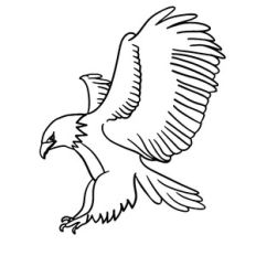 American Eagle