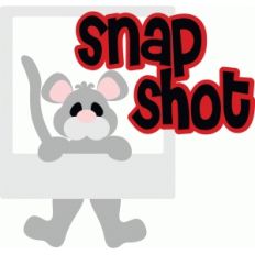 snap shot