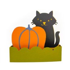 Black Cat Box Card
