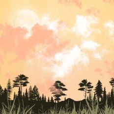 Sunset Forest