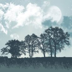 Peaceful Nature