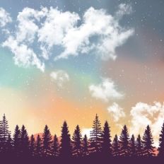 Sunset Forest Skyline