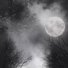 Monochrome Night Sky