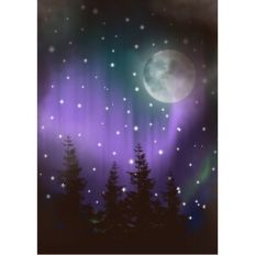 Rectangle Aurora Borealis Forest Scene Background