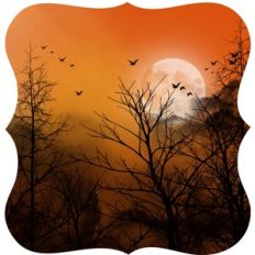 Fancy Label Shape Forest Night Sky