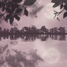 Peaceful Forest Lake