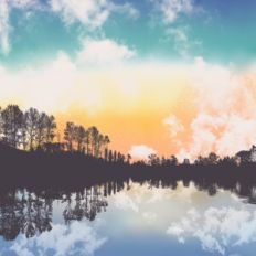 Sunset Lake Forest