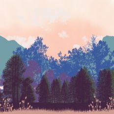 Peaceful Sunset Forest