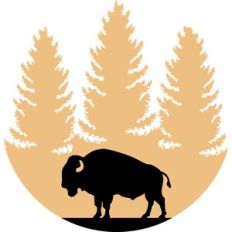 bison in the wood circle