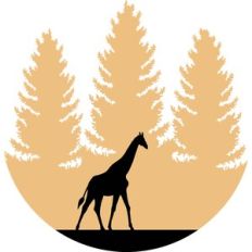 giraffe in the wood circle