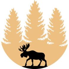 moose in the wood circle