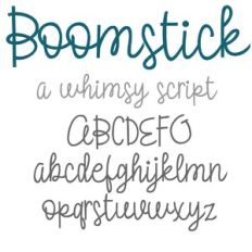 ZP Boomstick