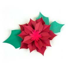 3D Poinsettia