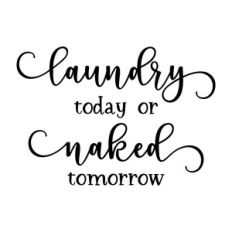 laundry today or naked tomorrow