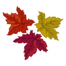 Fall Leaves