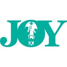 Joy Nativity