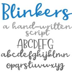 ZP Blinker