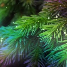 Christmas Tree Sparkle Background