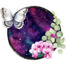 Butterfly Galaxy Garden