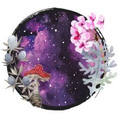 Mystical Space Galaxy Garden