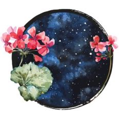 Magical Space Galaxy Garden