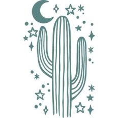 cactus at night