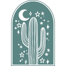 cactus at night