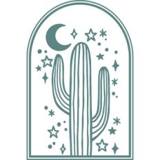 cactus at night