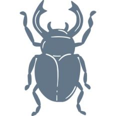 beetle