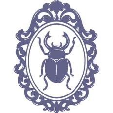 beetle in decorative frame