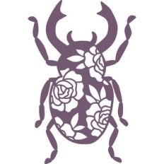 floral beetle