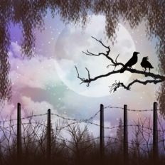 Birds on a Branch