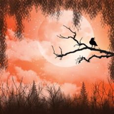 Bird on a Branch Sunset