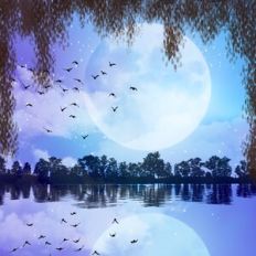 Moonlit Reflections