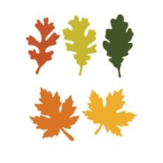 Fall Leaves