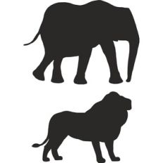 Jungle Party - Elephant and Lion