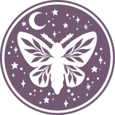 moth with moon and stars